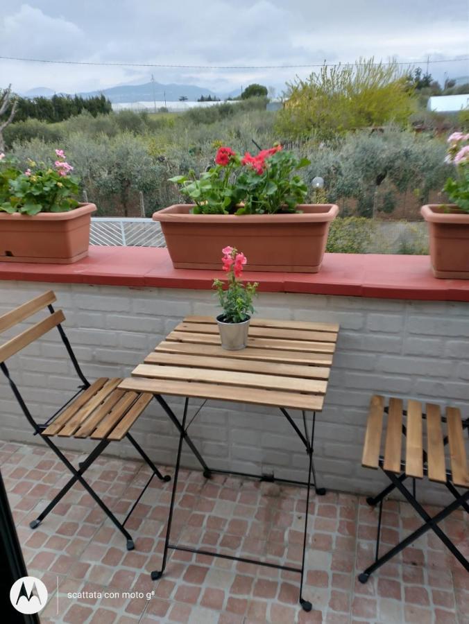 Ida S Holiday home